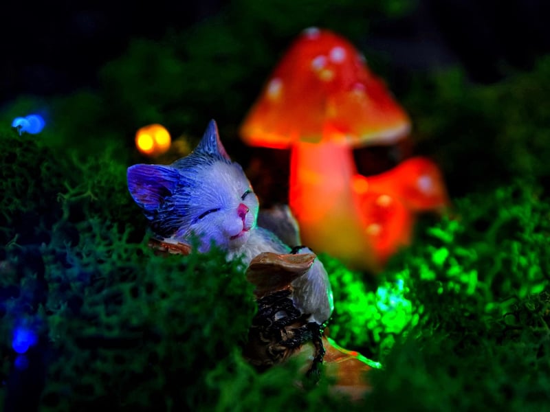 Whimsical Natural Decor